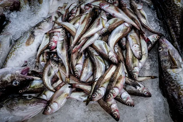 SalpicÃ³n de mariscos