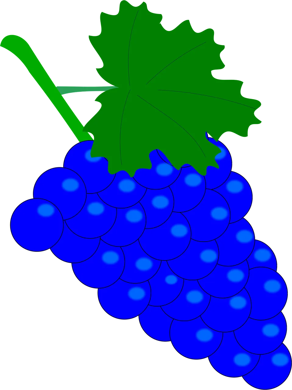 Fino de Jerez