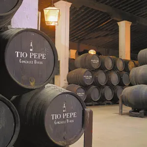 Tío Pepe, la marca de vinos más admirada del mundo