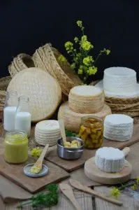 Rey Cabra, referencia en la producción del queso rondeño