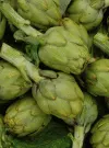 Alcachofas Pino - Carciofi d'autore