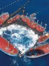 Almadraba, un arte de pesca de los más antiguos