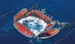 Almadraba, un arte de pesca de los más antiguos