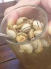 Caracoles en La Maceta de Jerez