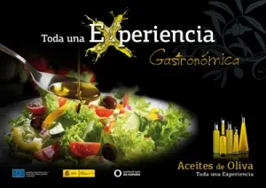 Los Aceites de Oliva en todos los Paradores de Andalucía