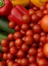 Ruta de la Tapa Ecológica en Andalucía