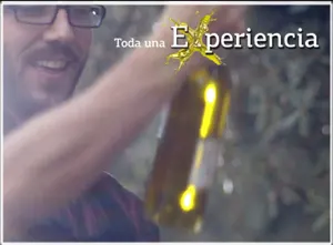 Los Carritos de los Aceites de Oliva recorren las calles de Sevilla