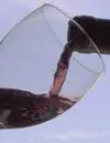 La gastronomía y los vinos sevillanos llegan a Italia